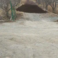 کودحیوانی|خدمات باغبانی و درختکاری|شهریار, شهرک شاهد|دیوار