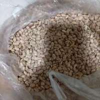 بهترین لوبیا چیتی  ۲۰ دقیقه پخت به شرط و به قیمت