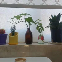 فروش ۳۸۰۰ متری