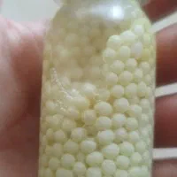 فروشگاه حلزون و ملزومات نگهداری|خزنده|کرج, اتحاد|دیوار