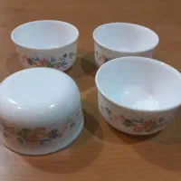 ترشی خوری ارکوپال