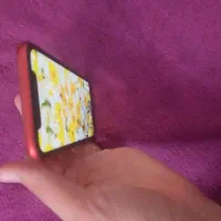 اپل iPhone XR با حافظهٔ ۶۴ گیگابایت|موبایل|تهران, اسکندری|دیوار