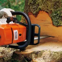 انواع درختان هرس و قطع انجام میدم