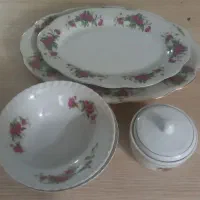 گلسرخی همیشه شیک