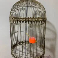 دو عدد قفس کلاسیک|لوازم جانبی حیوانات|تربت جام, شهرک معلم|دیوار