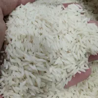 طارم صدری گیلان برنج فوق‌العاده با کیفیت|خوردنی و آشامیدنی|قم, زند آباد|دیوار