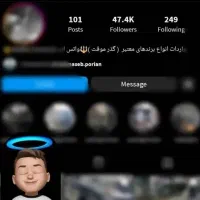 فالور واقعی ،فیک،لایک،ویو قیمت منصفانه ممبر تلگرام|لوازم جانبی موبایل و تبلت|تهران, نازی‌آباد|دیوار