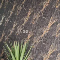 دکوراسیون و نصب کاغذ دیواری