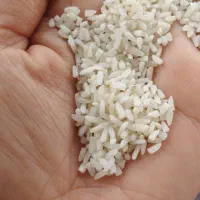 برنج هاشمی سس همه طمع رب اناروالوجه