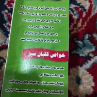 قلیان سبز سالار|کلکسیون و سرگرمی|مراغه, |دیوار