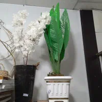 تخفیف ویژه گل و درختچه