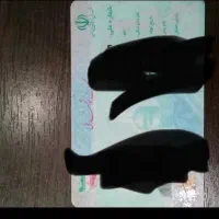 کارت ملی گم کردم