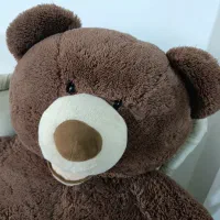 در حد نو|اسباب‌‌بازی|مشهد, پورسینا|دیوار