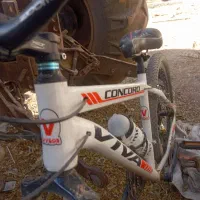 دوچرخه ۲۶نونو|دوچرخه، اسکیت، اسکوتر|کبودرآهنگ, |دیوار