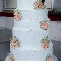 آموزش و سفارش انواع کیک و دسر