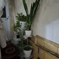 اندیشه،خیابان مشکینی،۷۵متر،۲خواب|اجارهٔ آپارتمان|مشهد, مشکینی (شهرک غرب)|دیوار