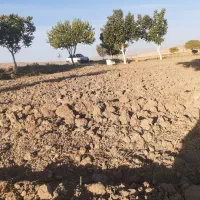 زمین کشاورزی با اب کافی|فروش زمین و ملک کلنگی|اشترینان, |دیوار