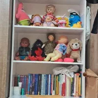 ویترین کمد کتاب و عروسک