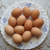 کند یومورتاسی