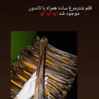 تشویقی سگ