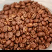 قهوه به قیمت کارخانه