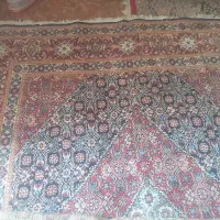 قالی تمیز و قشنگ|فرش|اهواز, چهارصد دستگاه|دیوار