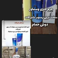 نانوسان آلمان|مواد شوینده و دستمال کاغذی|گنبد کاووس, |دیوار