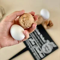 گردو مختص مناطق سردسیر