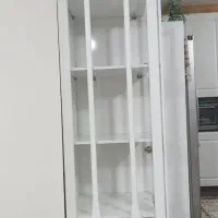 بوفه جنس ممبران