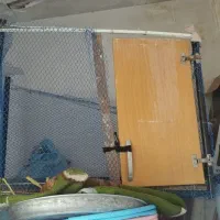 گنجه|پرنده|قم, دروازه ری|دیوار