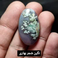 نگین شجر بهاری و گل اناری