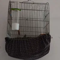 قفس سهره