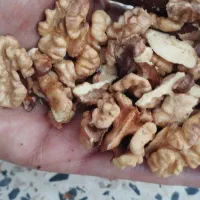 گردو محلی معاوضه با برنج|خوردنی و آشامیدنی|نورآباد ممسنی, |دیوار