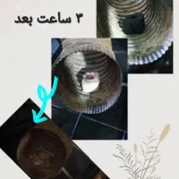 ذغال فشرده چینی.خاک اره ای