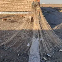 تور دور باغچه ای|ماهیگیری|بندر ترکمن, |دیوار