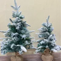 درخت کریسمس