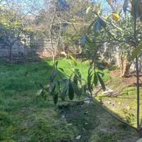 390 متر **خانه روستایی** 100 متر بنا روستای چاره|فروش خانه و ویلا|دابودشت, |دیوار