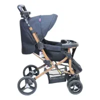 کالسکه دلیجان مدل بنیتا