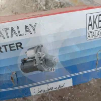 پرنده|پرنده|سوسنگرد, |دیوار