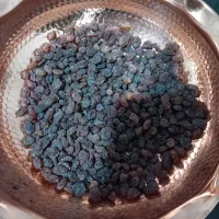 شیره انگور و شیره سفید امسالی|خوردنی و آشامیدنی|کرج, گوهردشت|دیوار