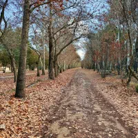 منزل فروشی در زرقان