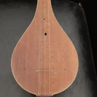 سه تار حرفه ای