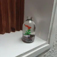 ماهی برای شب عید