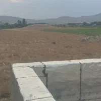 زمین-باغی