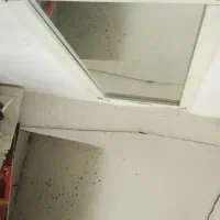 آقا-هستم-به-یک-همخونه-آقا-نهایت-سن-تا-26-احتیاج-دا