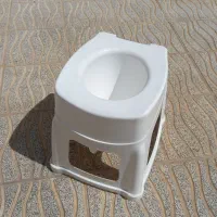 توالت فرنگی