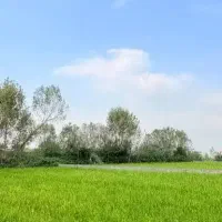 زمین آماده ساخت با ویوی‌دریاچه و تپه سبز