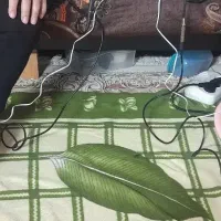 حجامت بادکش تزریقات فصد یون تراپی زالو قلنج گیری|خدمات زیبایی و سلامت|کرج, شهرک بنفشه|دیوار