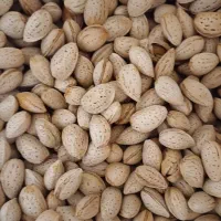 خرید و فروش خشکبار|خوردنی و آشامیدنی|شبستر, |دیوار