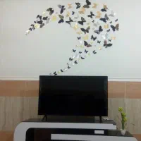 پروانه تزیینی|صنایع دستی و سایر لوازم تزئینی|سیرجان, |دیوار